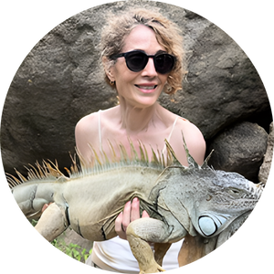 THE NIGHT OF THE IGUANA Trip to Puerto Vallarta